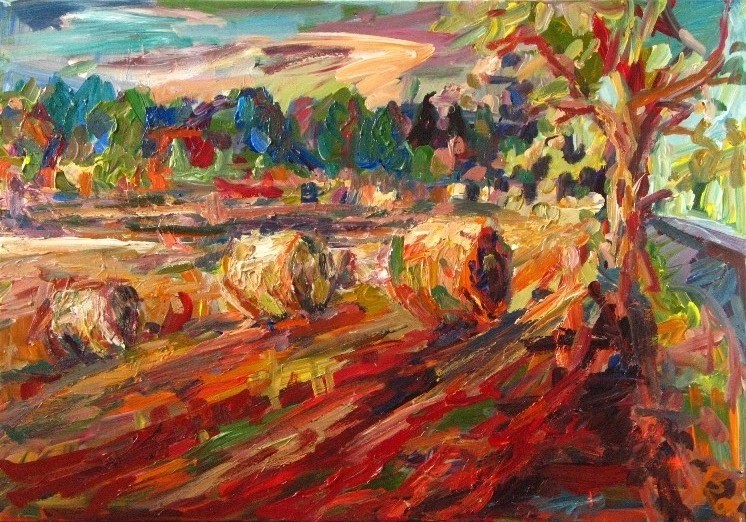 Feldlandschaft
