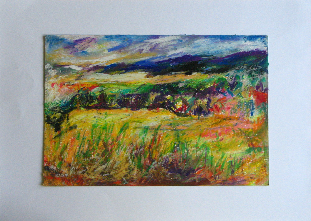 Sommertag am Feld