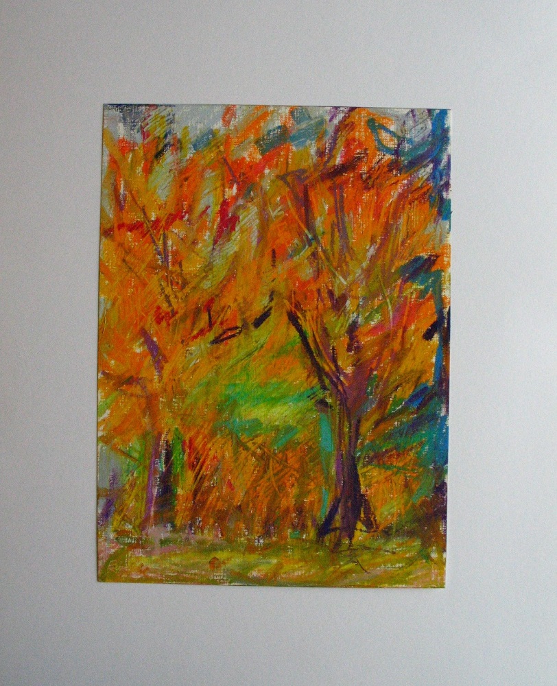 Ahornbäume im Herbst