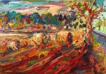 Feldlandschaft