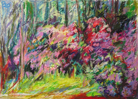 Salley Garden