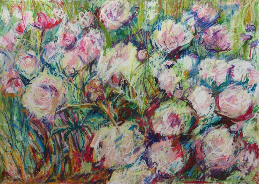 Pfingsrosen II