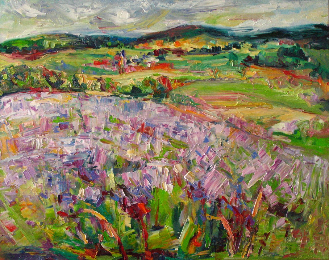 Feld in Sommerblüte