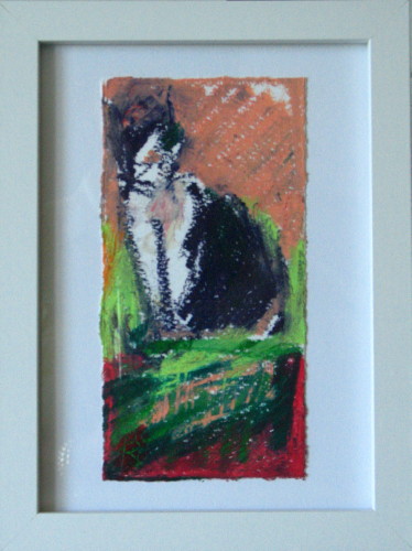 Kitty