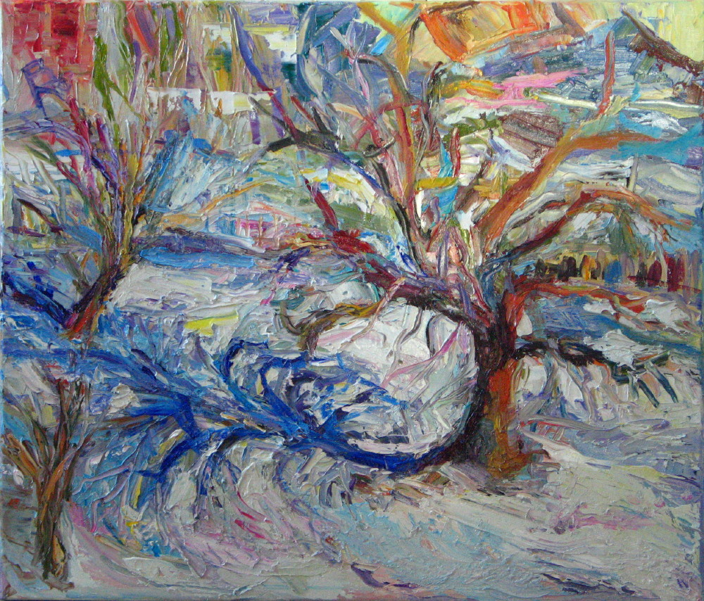 Winter im Garten