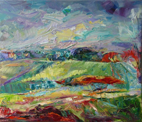 Feldlandschaft im Mai