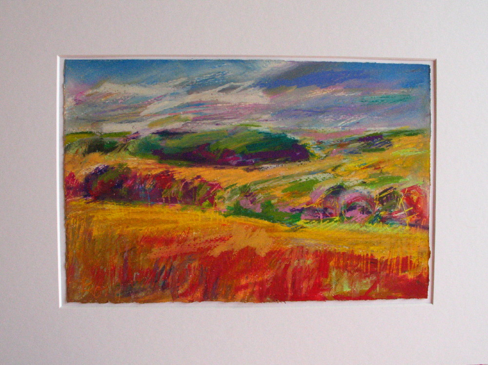 Sonne im Kornfeld