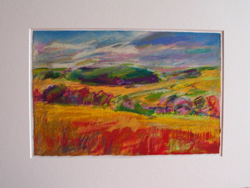 Sonne im Kornfeld