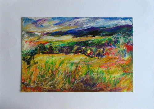 Sommertag am Feld
