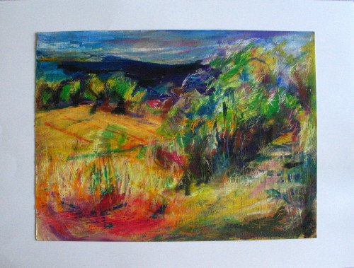 Sommerlandschaft