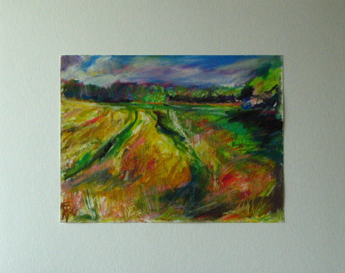 Feldlandschaft