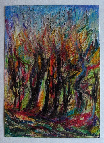 Alte Buchenhecke