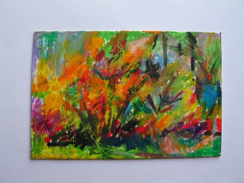 Palme im Garten
