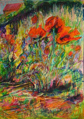 Roter Mohn