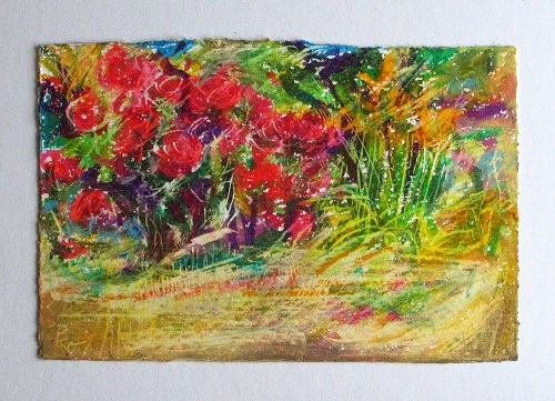 Sonne im Garten