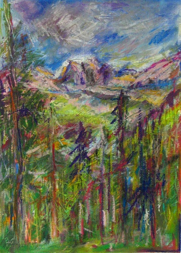 Blick durch den Wald