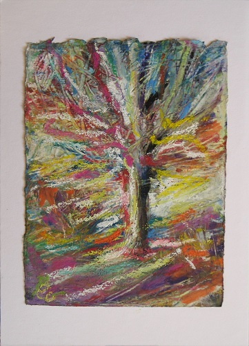 Winterbaum
