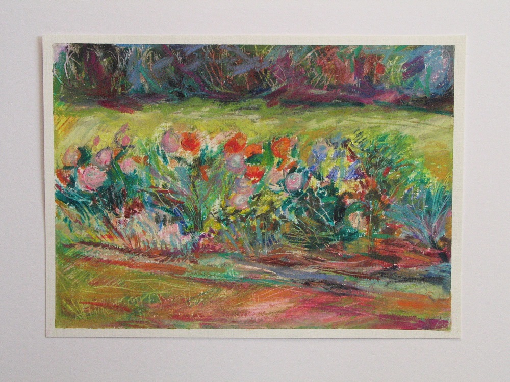 Mohnblumen erblühen